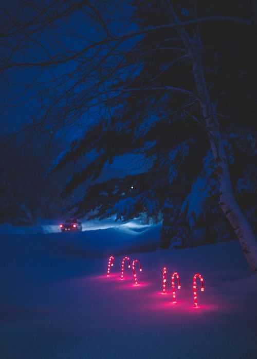 lights snow winter