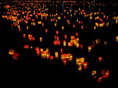 lights candles floating candles