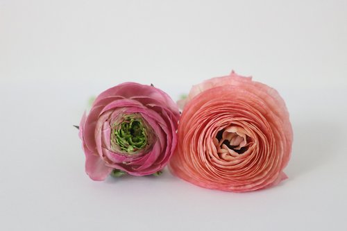 lightweight components  flowers  pink