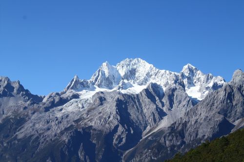 lijiang the jade dragon snow mountain yak meadow