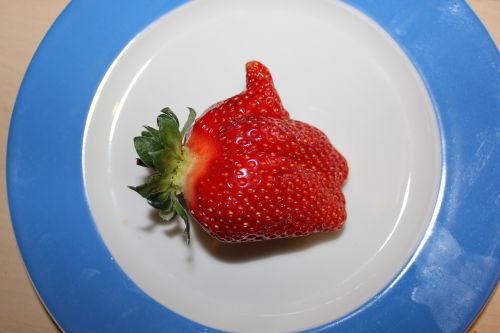 like strawberry fruit
