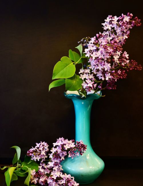 lilac lilac bouquet flowers