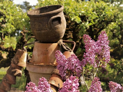 lilac  garden  flower pot