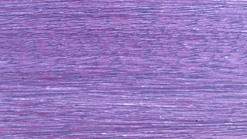 Lilac Grain Pattern Background