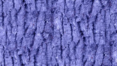 Lilac Seamless Bark Background