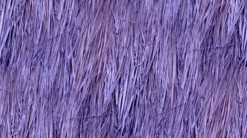 Lilac Seamless Straw Background