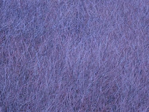 Lilac Texture Background