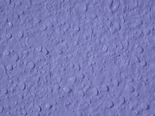 Lilac Water Droplets Background