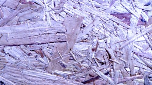 Lilac Wood Shavings Background