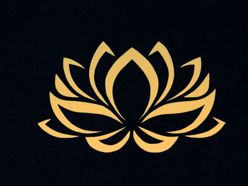 lily flower contour