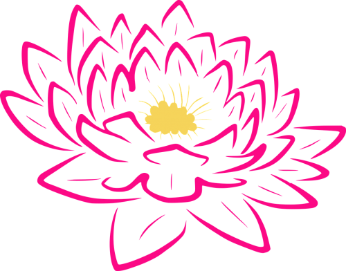lily flower contour