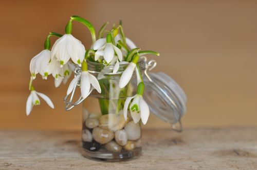 lily of the valley snowdrop decorative glass