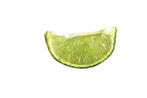 lime slice fruit
