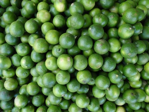 lime fresh green
