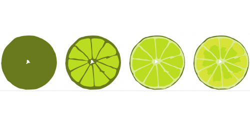 lime citrus food
