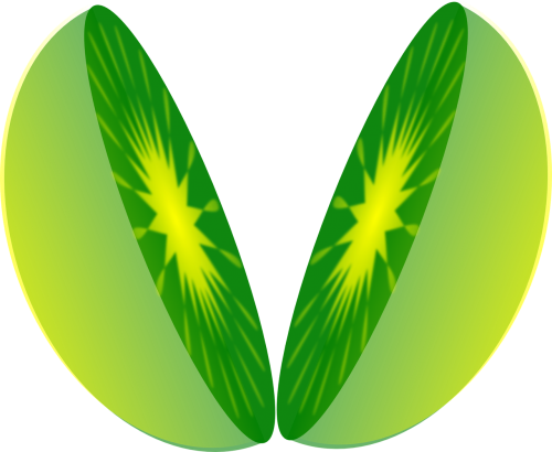 lime kiwi fruit