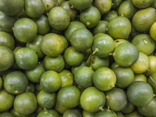 lime green vegetable