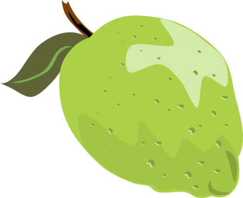 lime fruit whole