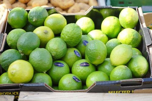 lime fruits citrus fruits