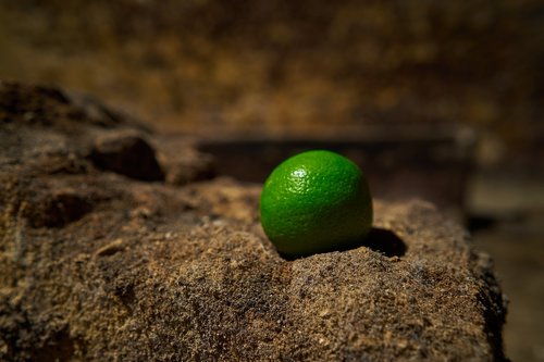 lime  sour  fruit