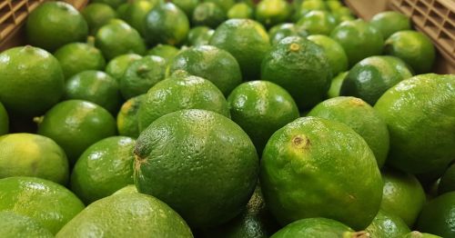 limes lime green