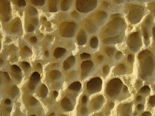 limestone honeycomb rock
