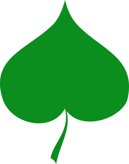 linden green leaf
