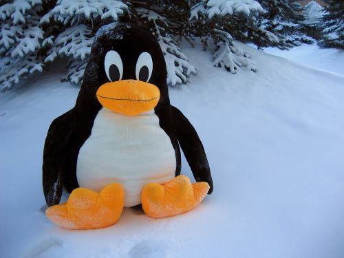 linux penguin funny
