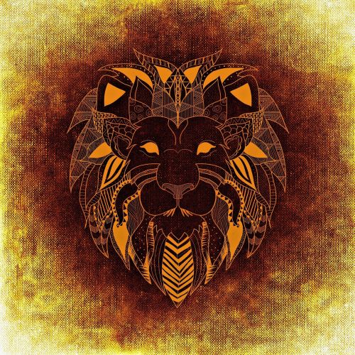 lion wild animal abstract