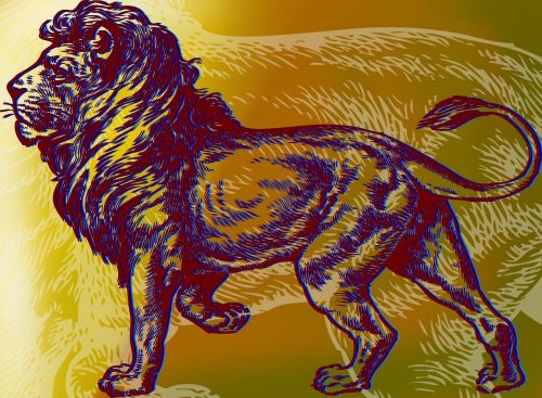 lion vector graphic animal
