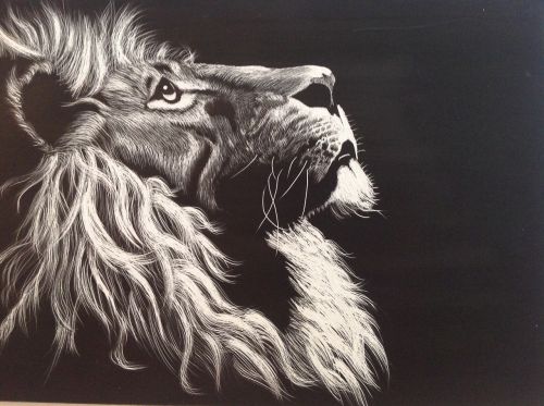 lion black and white etching