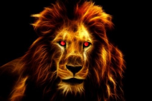 lion king africa