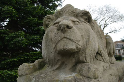 lion sculpture lion lying