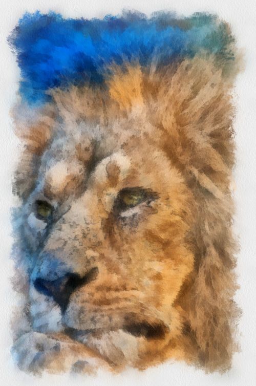 lion animals painting