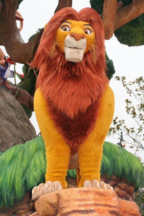lion king lion disney