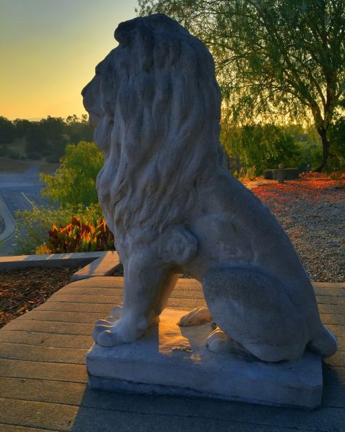 lion statue dawn