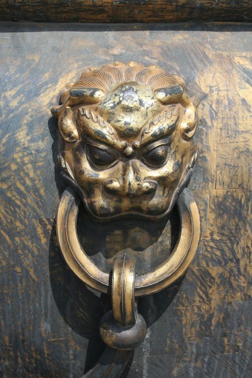 lion door knocker architecture