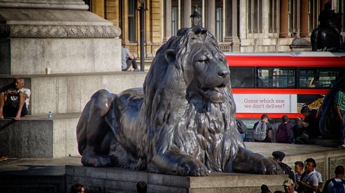 lion image statue