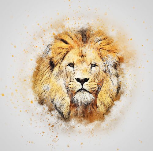 lion animal head