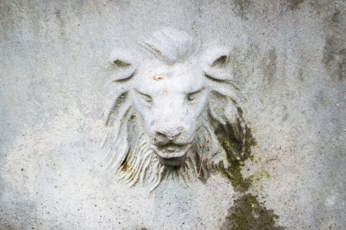 lion building wall