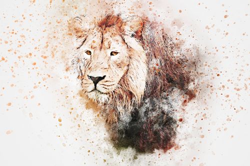 lion animal art