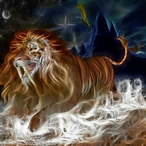 lion tiger cat