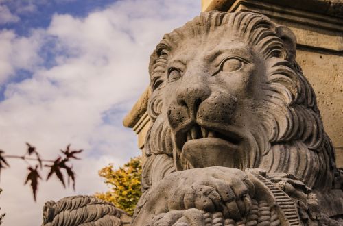 lion statue closeup