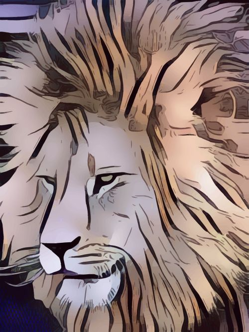 lion king jungle