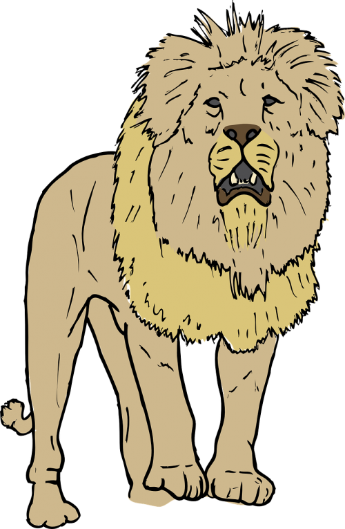 lion roaring mane