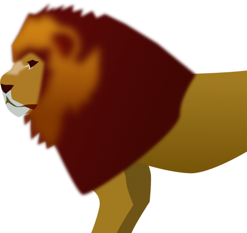 lion animal mammal