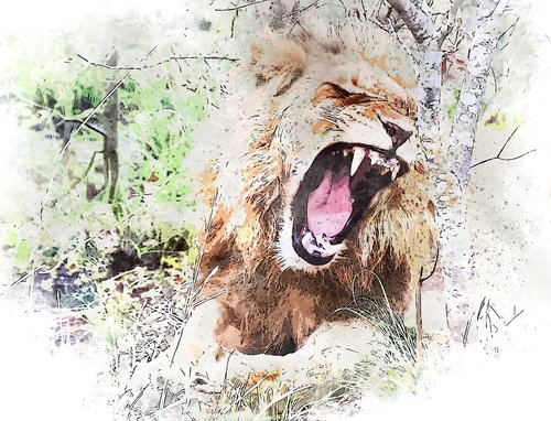 lion  wild  roar