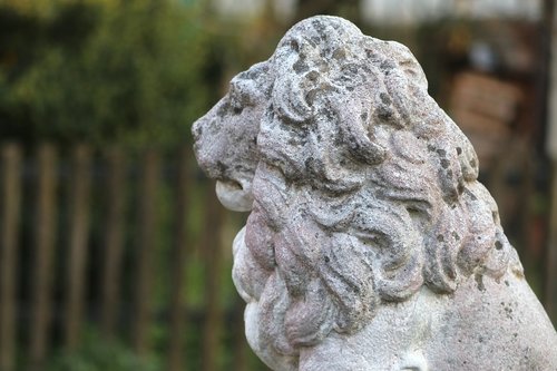 lion  stone animal  stone