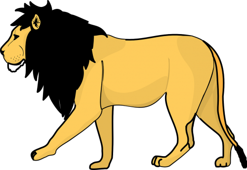 lion black yellow