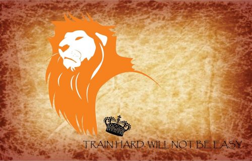 lion bike train hard